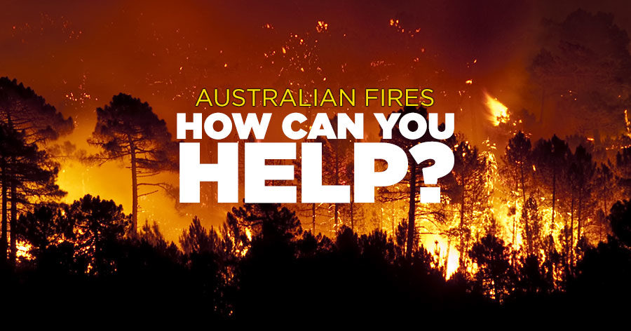 Fire Appeal - How can we help?
