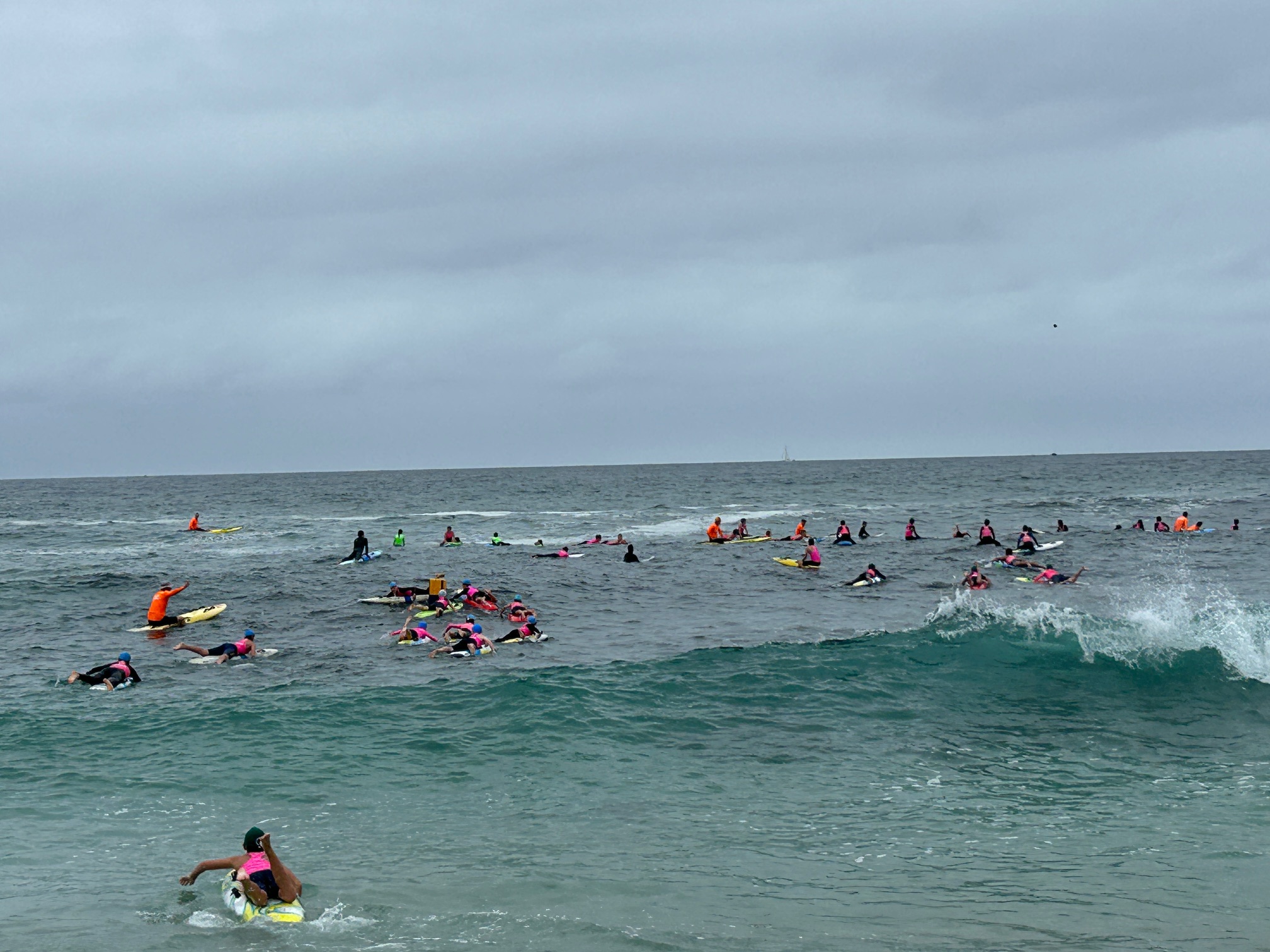 Nippers Newsletter - Week 3 2025/26