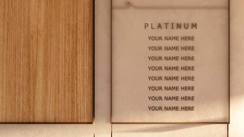 platinum donor fundraising for bronte surf club